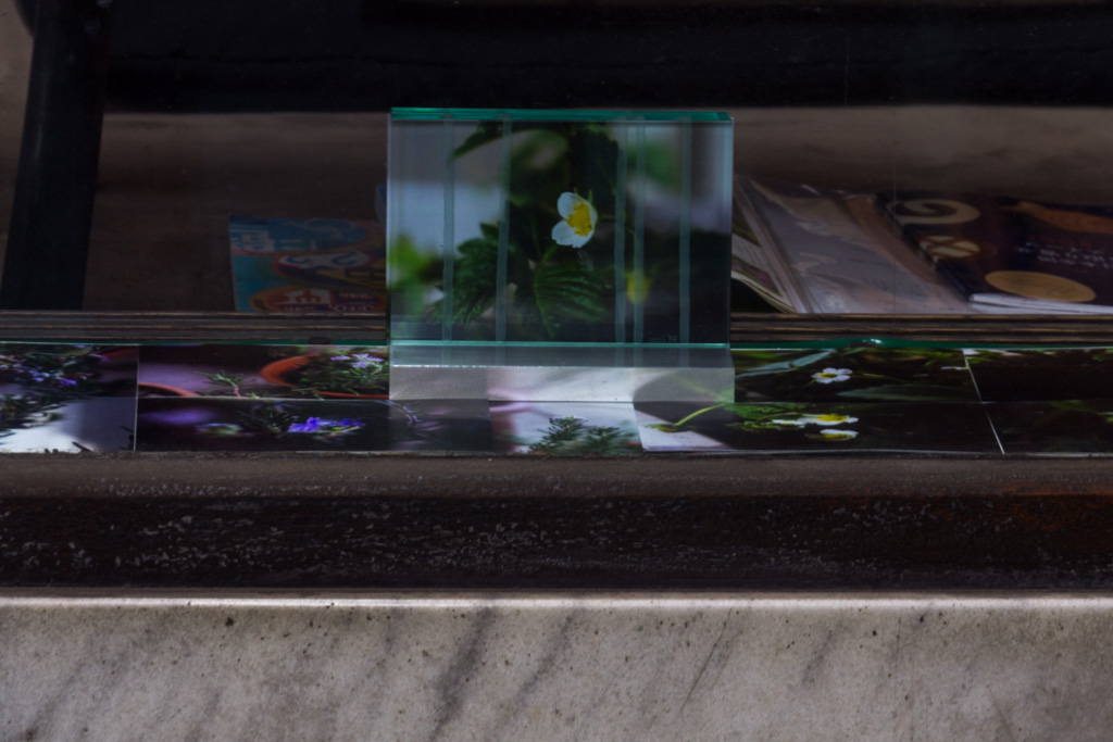 glass (sandblasting), aluminum 110 x 148 x 100 mm Small flowers 2015 -2016 photograph 100 x 150 mm